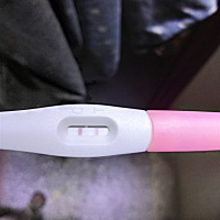 大家看看是不是怀孕了呢