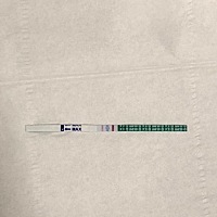 6.月4号末次月经，这几天腹部老是胀痛，忍不住测了下，请问这是有了吗，还是在等几天再测准一点😂😂