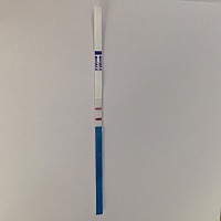 正常5号来的例假。但是没有来。今天第一次测出现2条扛，不太确定又测了一次出现一条扛。中午好奇又测了...