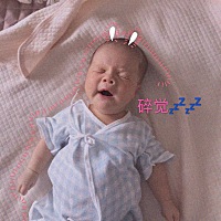我家小猪越长越好看。17天啦