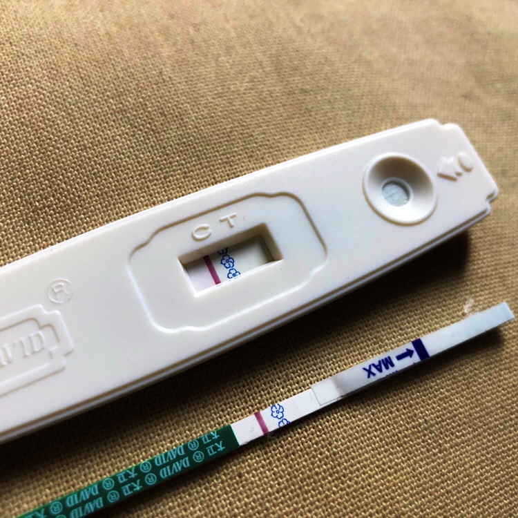 排卵第十一天，意念粉～求好运，明天继续测～
