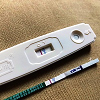 排卵第十一天，意念粉～求好运，明天继续测～