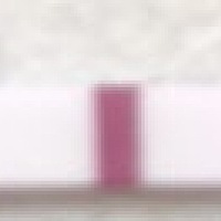 这有可能怀孕了吗，末次月经6月9号