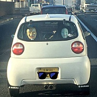 一位小哥开车兜风，猛然被前车的两张面具吓尿了...跟了几十米，发现还tm是和刹车灯联动的，二次吓尿...
