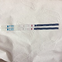 末次6.9，今天测到双杠，去医院抽血化验结果也出来了，希望宫内好孕哦