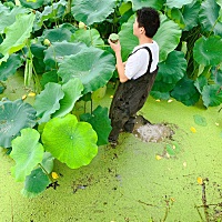 下着雨非让我老公带着我去摘莲蓬、真是没谁了.