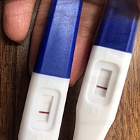 请问这是怀孕了吗