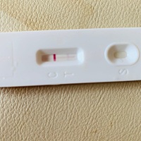 这是怀孕了还是没怀孕？？？