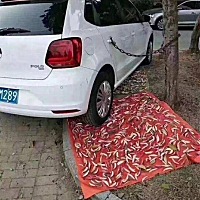 素质是个问题，只能以牙还牙,以血还血！ [哼] ​​​