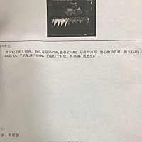 28周糖耐通过了！早上空腹喝了8支葡萄糖 这酸爽的感觉 不想再有下一次😭 每隔一个小时扎无名指 抽了三...