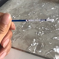 末次月经6.12号，昨晚洗澡有棕色血丝，感觉是受精卵着床，今早起来测，但是离月经还有三天。测的有点早...