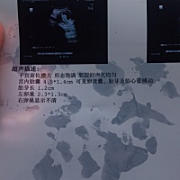 有会看男女的嘛