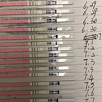 有没有懂的，6.18大姨妈，6.30有长长白带……7.1跟5号去医院没有监测到优质卵泡，然后试纸一直都是一个...