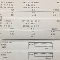 进来进来会看的帮我看看 帮我看看是佩琦还是乔治