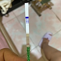 上个月11号来的月经 今天无聊测了一下，是怀孕了吗？