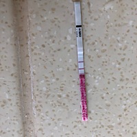 第一次是使用，想问下大家这个意思是弱阳还是：      距离助手测得排卵日还有两天呢，上次经期6.30-7月4...
