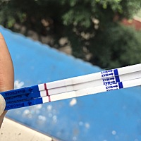 莫次月经6.16，昨晚和早上测的，姐妹们帮忙看下