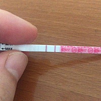 这个是强阳嘛？