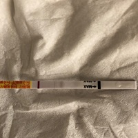 2号排卵，这个月没戏了吗
