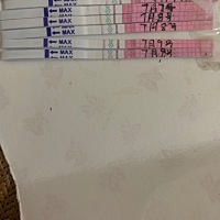 6月27号来月经7月3号月经干净，7月6号开始测排卵，一直都是弱阳，没强阳 😭😭