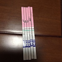 大家帮忙看看 这个排卵了没