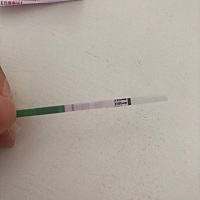 末次6.29，排卵日7.13，一直没有强阳正常吗？