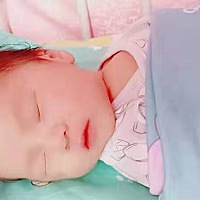 猪宝贝第三天啦，👏👏👏👏👏👏