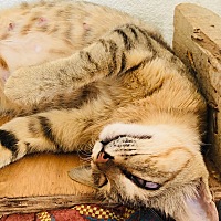 备孕的我看了很多怀孕的禁忌啊，资料这些，越看越要想很多，比如说关于生产     身边很多朋友是开始坚持...