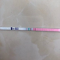 末次月经6月14，周期35天，这个月应该19号来。自测2号排卵，现在早孕白板，排卵阳性。套了各种症状，胸...