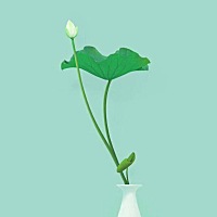 想问下大家。怎么样才能更容易受孕呢 有什么需要注意的吗？ 求大家支招、你们都是怎么怀上的