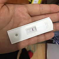 亲问我这是有了嘛！同房到现在才17天，上月姨妈是13号，同房28号，这个月姨妈是11号，第一张图是姨妈推...