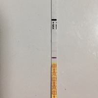 姐妹们，一个是昨天测的，一个是今天测的，这是不是怀孕了呢？还没时间去医院检查