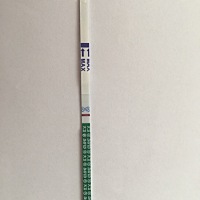 末次6.19，排卵7.5，有灰印吗？