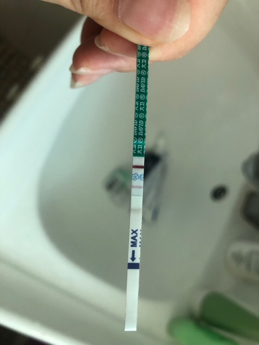 这是怀孕了吧？初期怀孕需要检查哪些