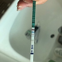 这是怀孕了吧？初期怀孕需要检查哪些