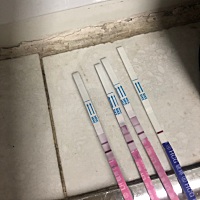 这个是不是在排卵期啊深的这一个