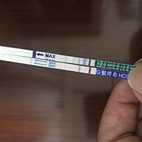 备孕半年有了，大姨妈晚了2天测出来的。备孕期间多注意休息哟。我就是老公最闲的这个月怀上的