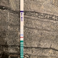 大神们帮忙看看，新手不懂，红色的是排卵试纸，绿色的是早早孕试纸，但是开始绿色的只出来一条条深红，...