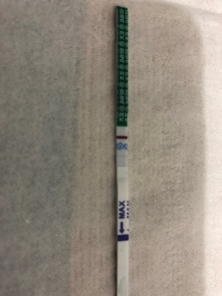 今天中午做梦梦到肚子里有东西，晚上回来就测出来了……^_^