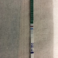 今天中午做梦梦到肚子里有东西，晚上回来就测出来了……^_^