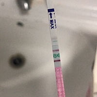 测排卵好像是秒红