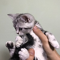 那个我为了调理月经连续吃了三个月的优思明，这三个月月经都是正常来的，7月1号-7月4号来了月经。1号的...