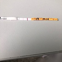 是等强阳安排呢？还是今天先安排一次？这样的颜色大概还有多久会强阳？昨天测卵泡有一个14×14.5了