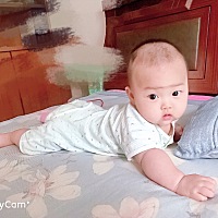 很久没来怀孕管家了！一转眼宝宝都快五个月了，那时候一起分享孕事的你们还好吗？宝宝也都很可爱了...