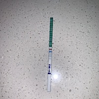 整个排卵期都没有强阳…是不是太心急，现在是看啥都像怀孕……