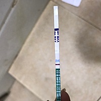 上月15号来的月经，今天推迟5天了，验了是白板，对于备孕的我来说，这几天都好煎熬，各位姐姐们，你们都...