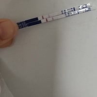 秒红，上个月18号月经，这是今天下午测的！好激动