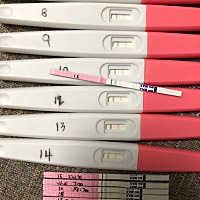 请大家帮忙看看，第一次记录，看不懂。排卵日应该是14号，但是为啥16号变弱，18号又开始变强。