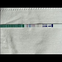 第一次备孕，各位小姐姐可以帮我看下吗，姨妈迟了2天，谢谢