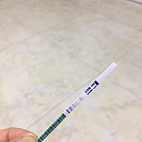 晚上测的，这是中了吗？平时月经没次都提前3天、这个月应该20号来姨妈的，没来就测了下